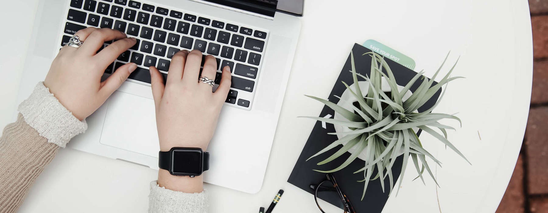 lifestyle image of young hands typing on a laptop beside a small plant